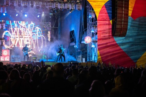 Vita De Vie in Mogosoaia on september 2022