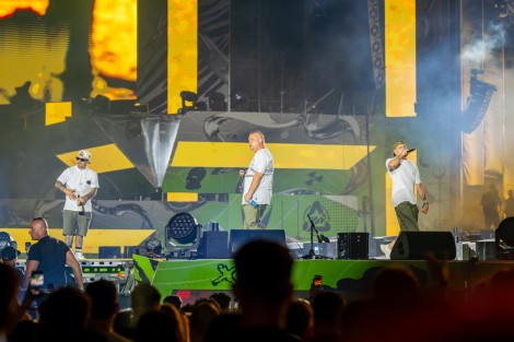 Bug Mafia in Costinesti on july 2026