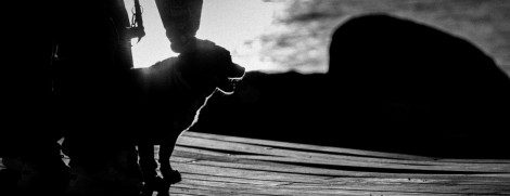 marche-costa-de-nord-gabicce-monte-december-2025-27b6c65b92