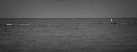 marche-costa-de-nord-gabicce-monte-december-2025-f92f1c710c