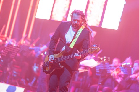 The Motans in Bucharest on february 2026