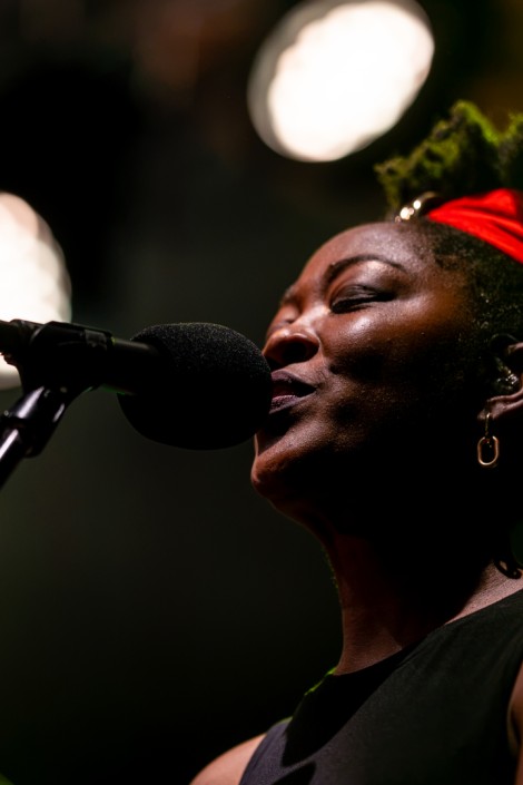 Sebastian Lupu — The Wailers in Bucharest, July 14, 2026 on Gigxels