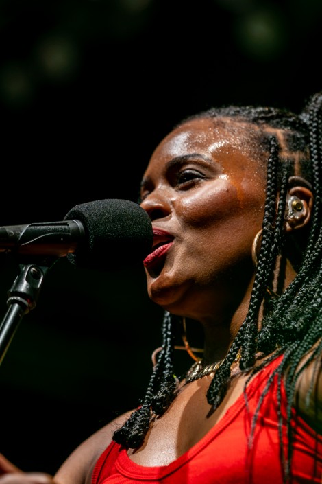Sebastian Lupu — The Wailers in Bucharest, July 14, 2026 on Gigxels