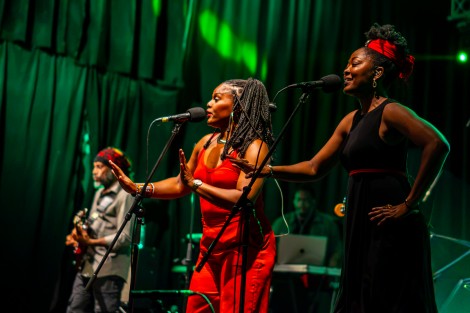 Sebastian Lupu — The Wailers in Bucharest, July 14, 2026 on Gigxels