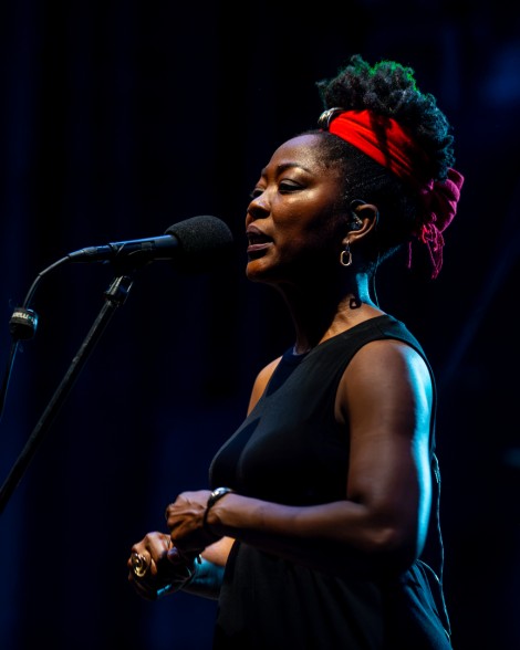 Sebastian Lupu — The Wailers in Bucharest, July 14, 2026 on Gigxels