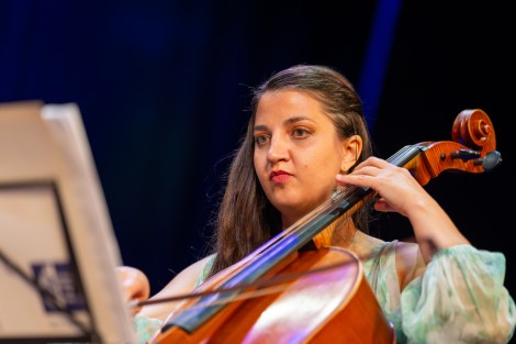 Sebastian Lupu — Zan Luiza in Bucharest, August 27, 2026 on Gigxels