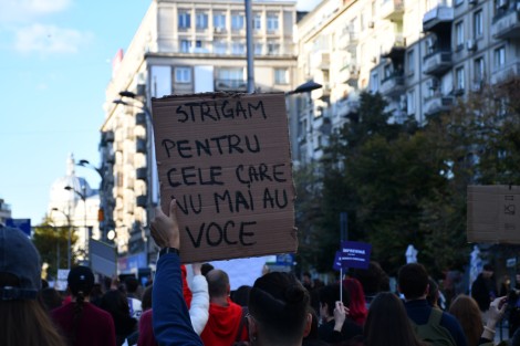 protest-bucharest-october-2025-d392e53ff4