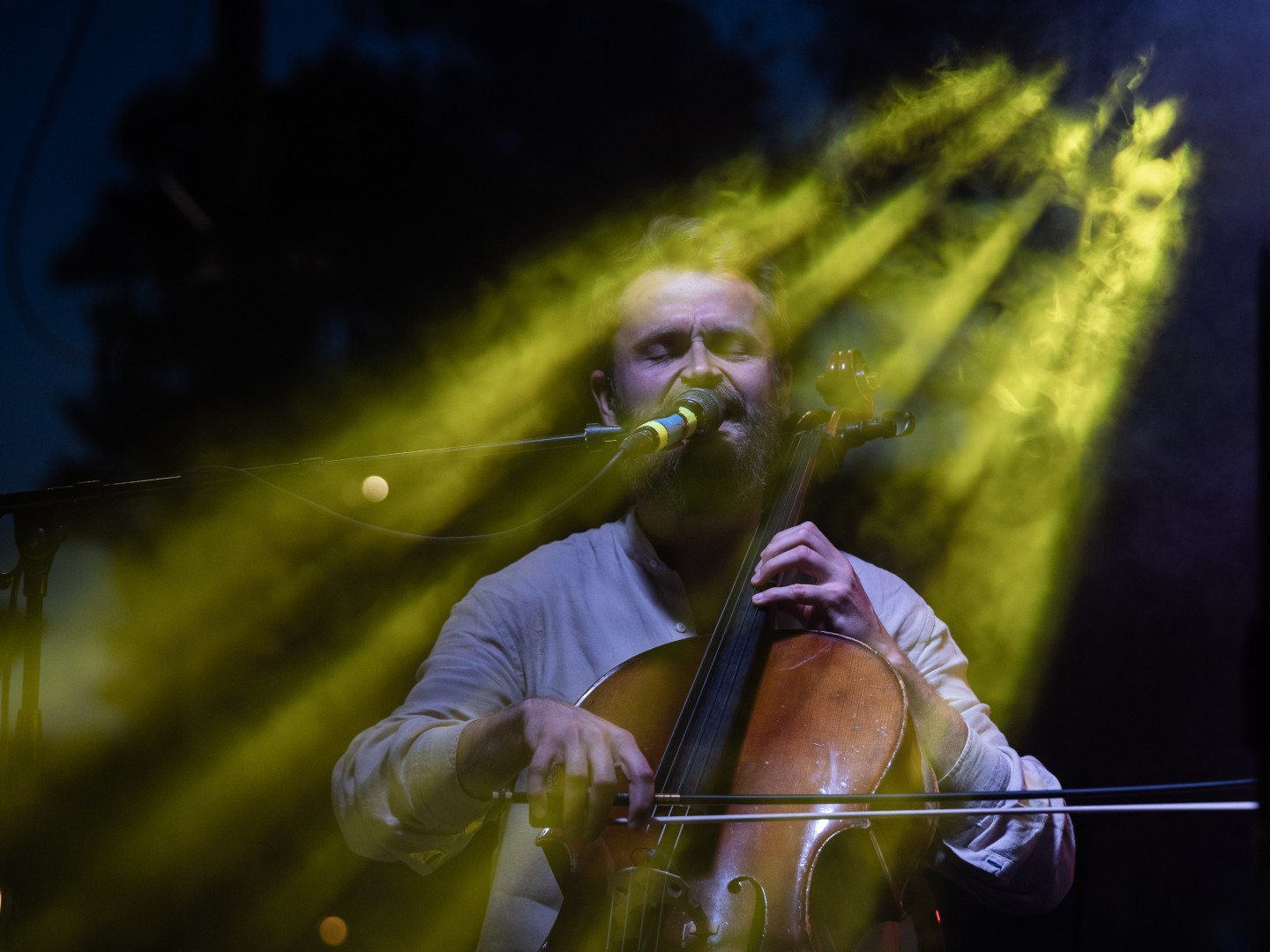 Mădălina Pavăl Orchestra in Bucharest on June 2, 2024 (555c5a2c4a)