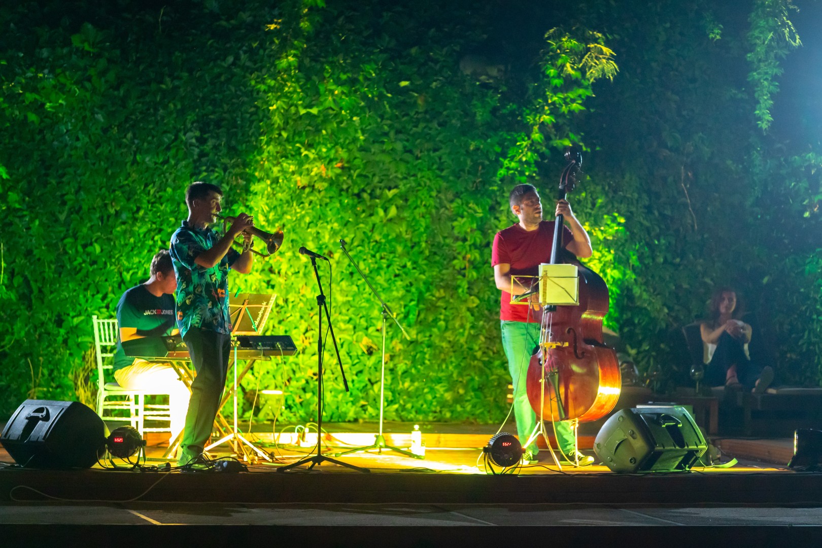 Ana Maria Galea Trio at Grădina Floreasca in Bucharest on August 22, 2018 (4199a0df13)