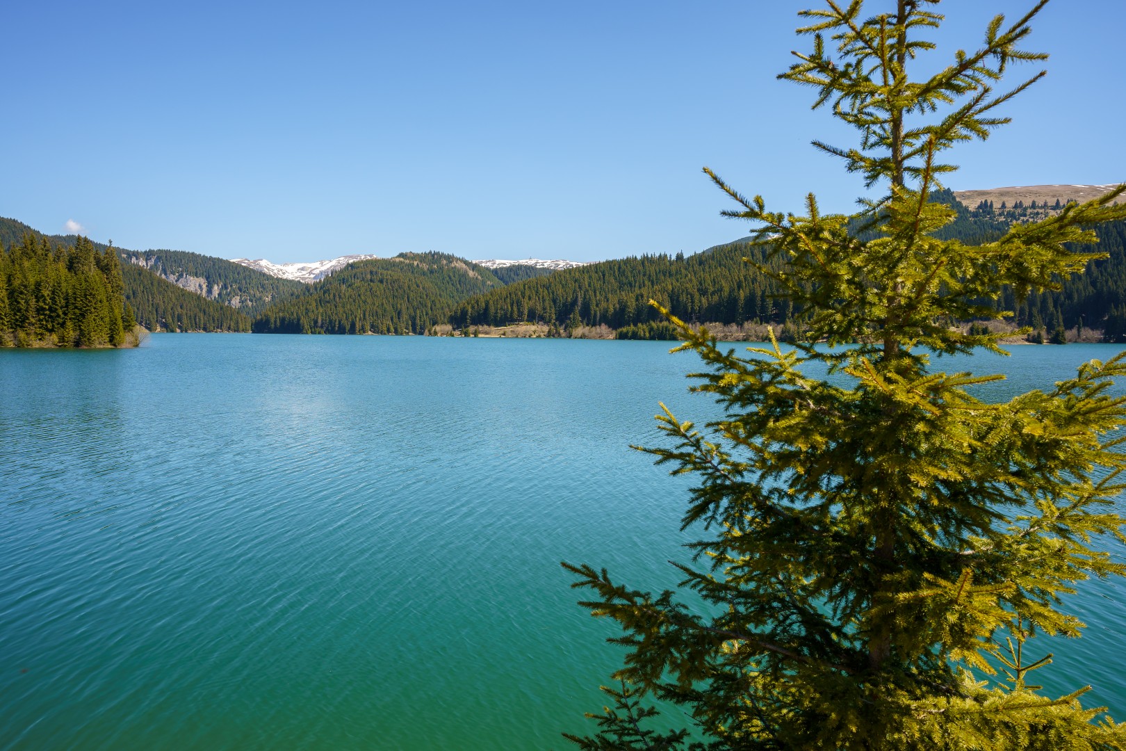 Bolboci Lake in Dambovita on May 11, 2021 (11256c30b0)