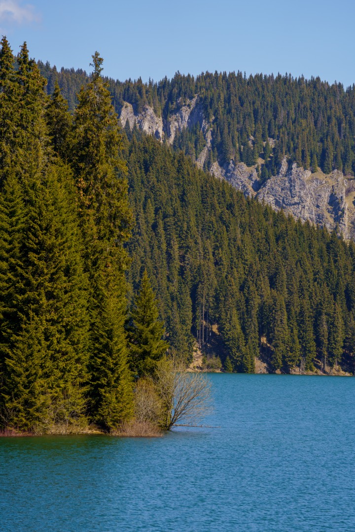 Bolboci Lake in Dambovita on May 11, 2021 (3a02fc9f70)