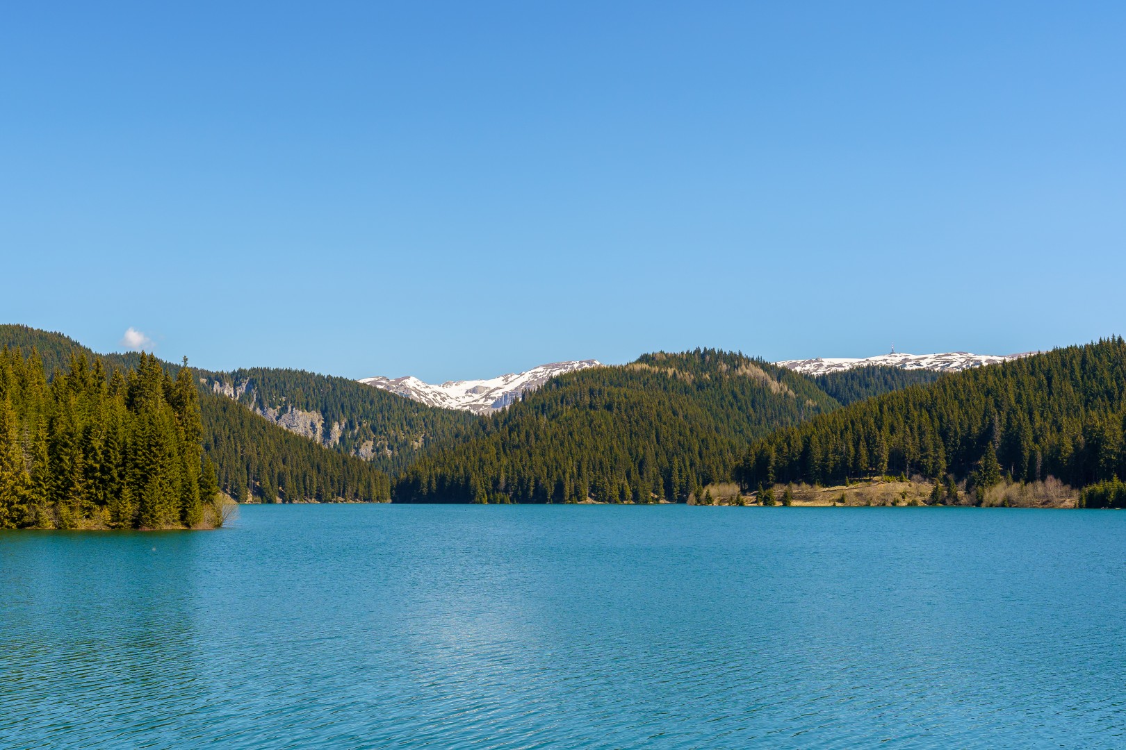 Bolboci Lake in Dambovita on May 11, 2021 (3c0b2f57e8)