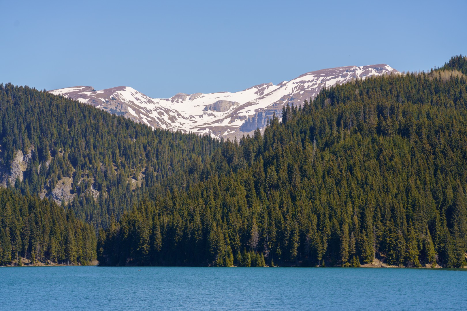 Bolboci Lake in Dambovita on May 11, 2021 (8d36e6585b)