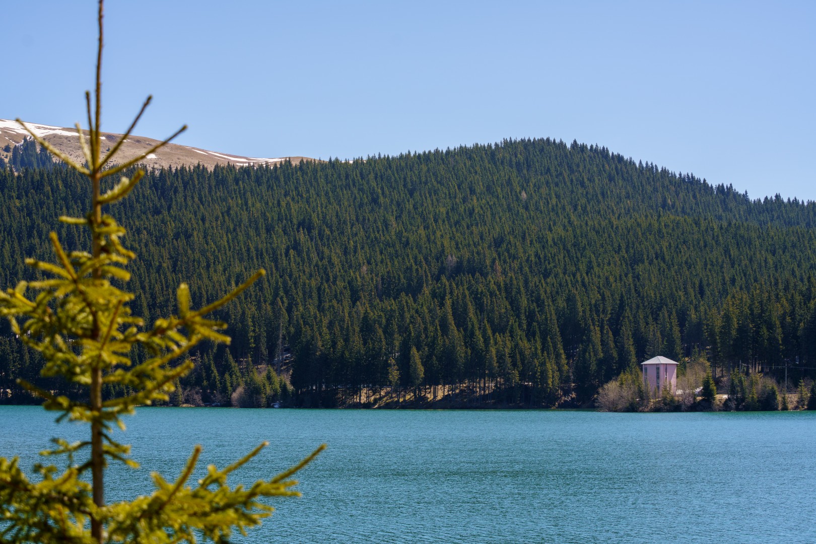 Bolboci Lake in Dambovita on May 11, 2021 (eaafce9315)