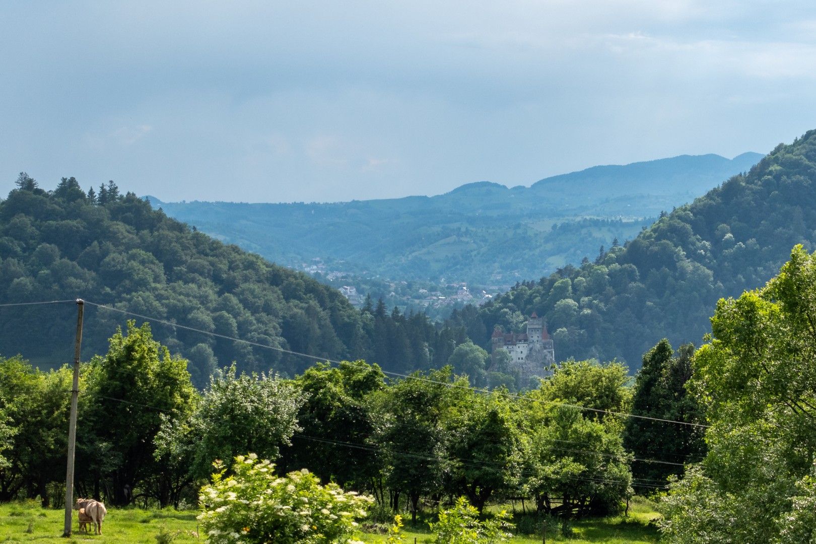 Bran Castle at Bran-Rucăr Pass in Bran on June 12, 2022 (b7cad201ef)