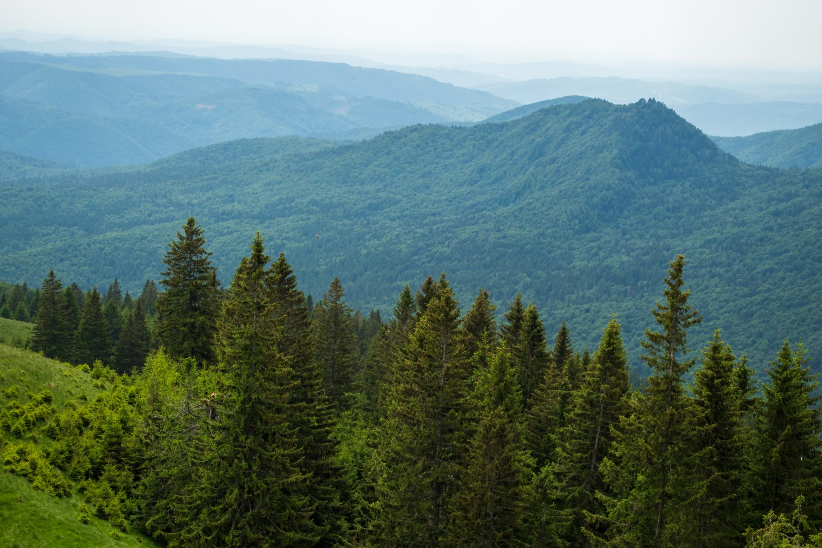 Bucegi Mountains in Dambovita on June 13, 2022 (252c61b59f)