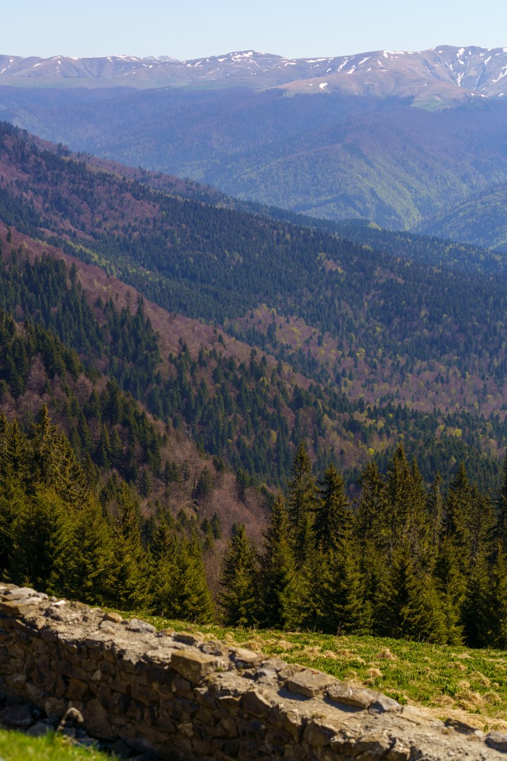 Bucegi Mountains in Dambovita on May 10, 2021 (01e5f626a6)