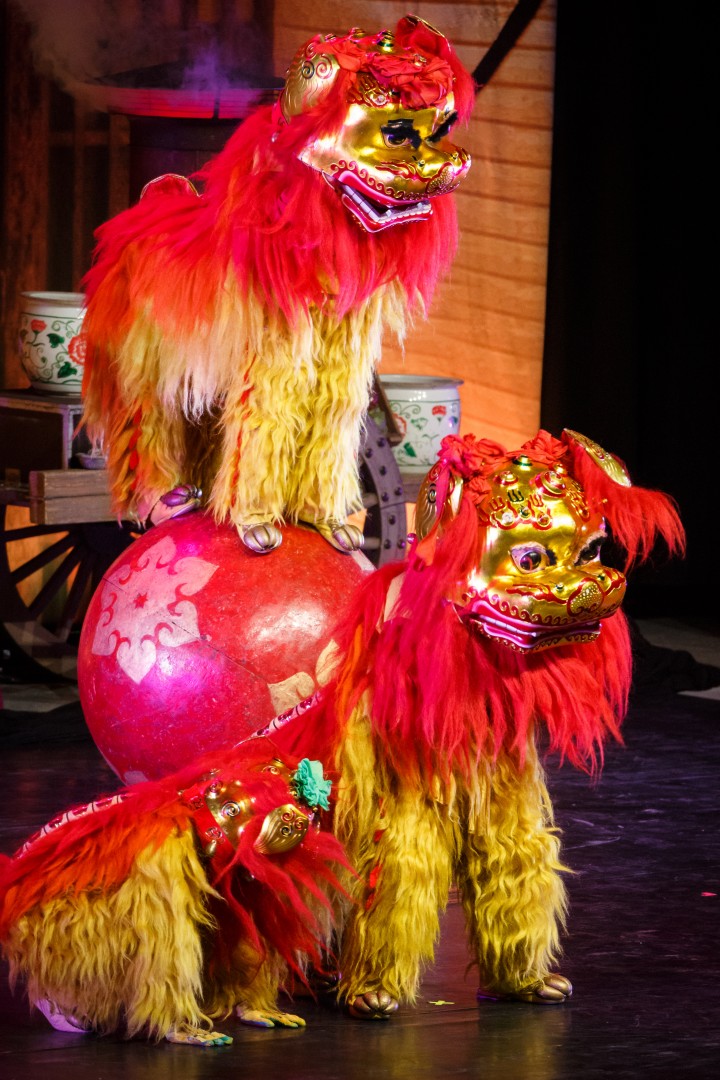 Chinese State Circus at Sala Palatului in Bucharest on March 9, 2016 (5b5a0abc46)