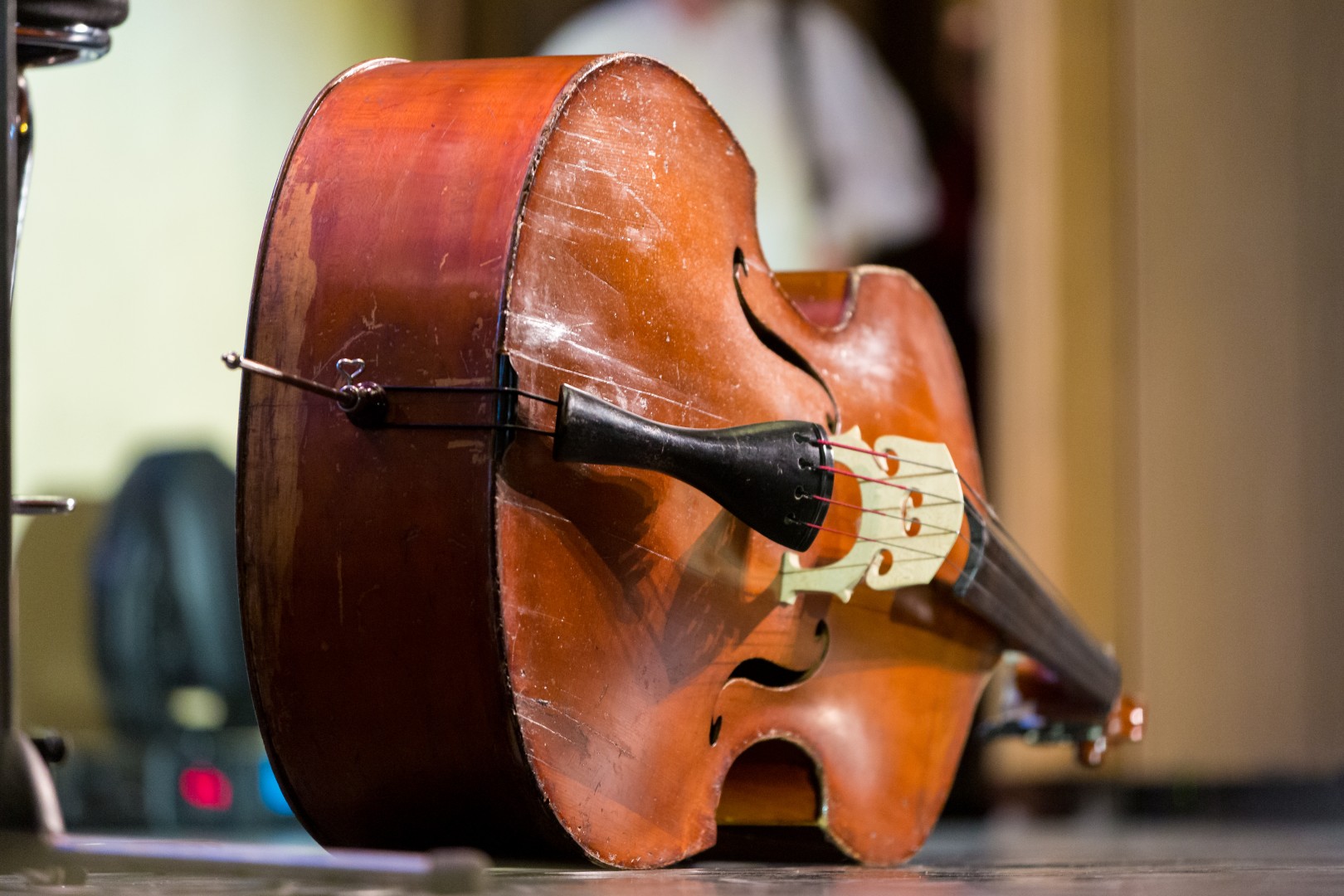 Contrabass at Sala Palatului in Bucharest on December 20, 2014 (c85d32ac89)