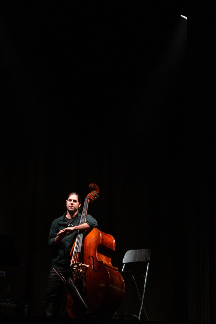 Contrabassist at Sala Palatului in Bucharest on October 20, 2014 (a4d55c6c75)