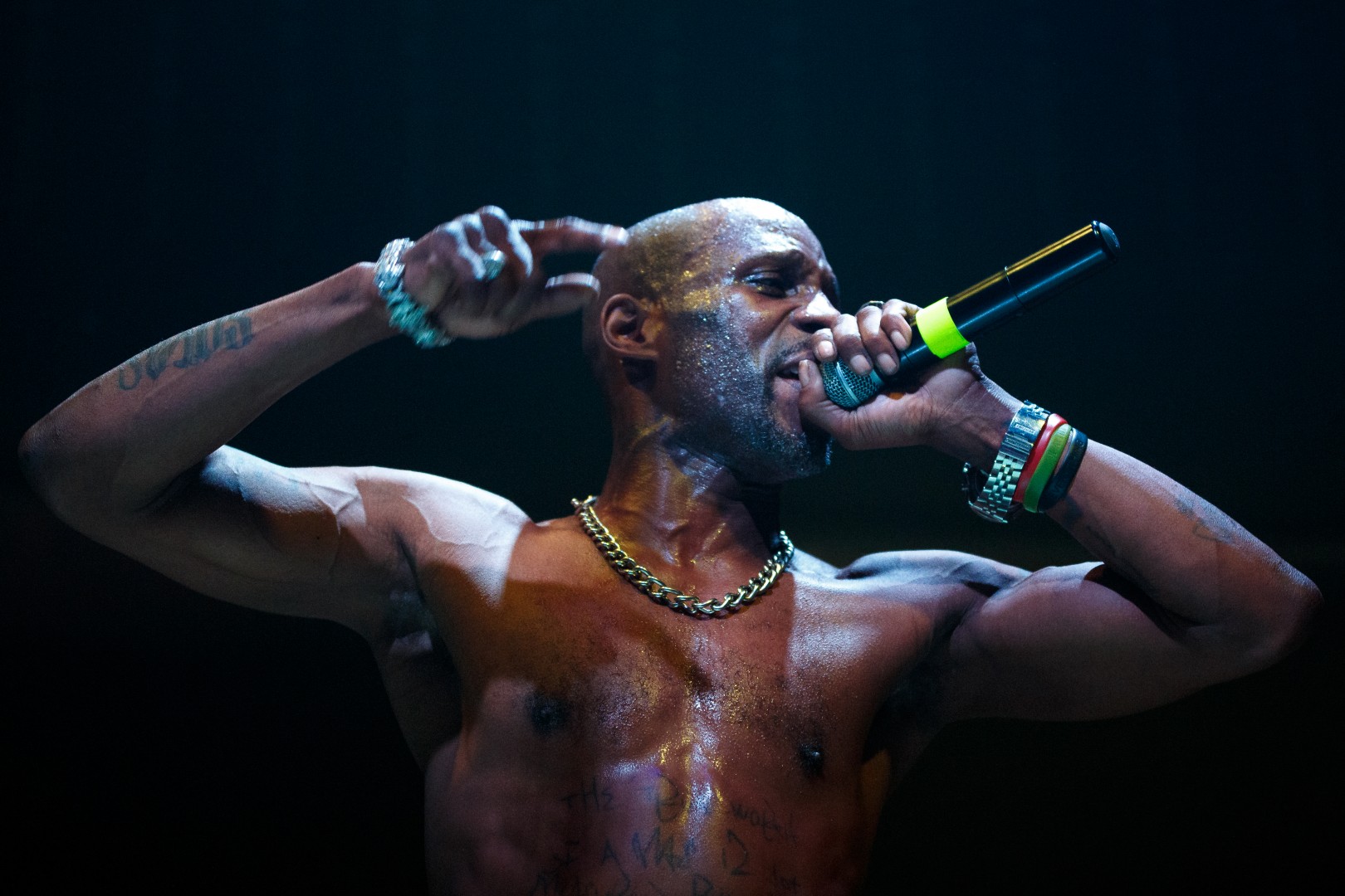 DMX at Club One in Bucharest on March 28, 2015 (39293f4499)