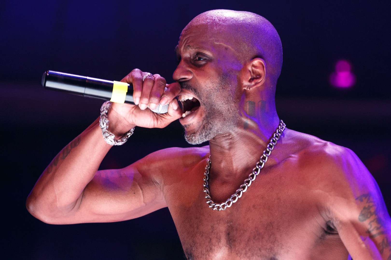 DMX at One Club in Bucharest on March 28, 2015 (a63ce94f02)