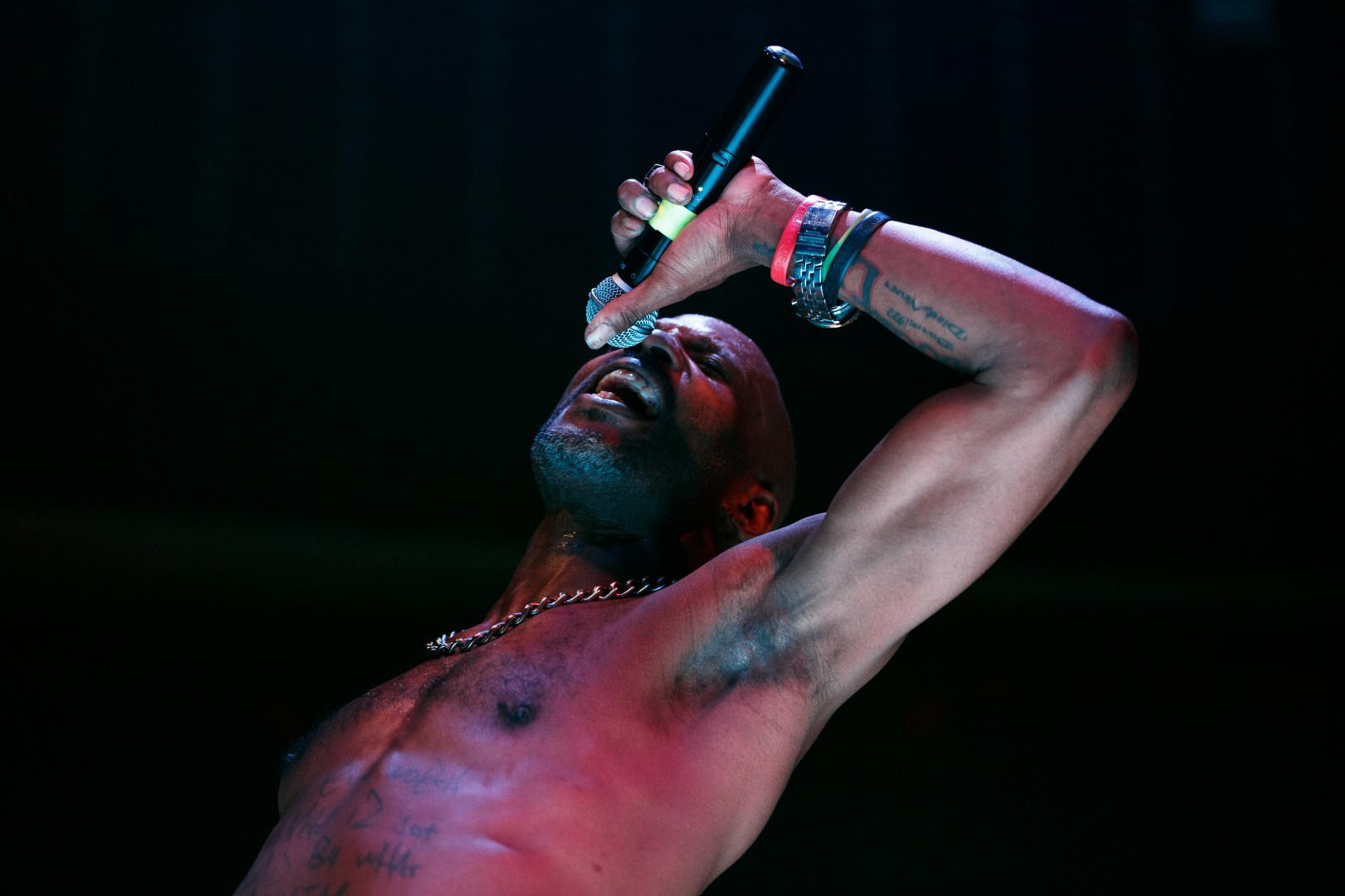 DMX at Club One in Bucharest on March 28, 2015 (d8edf2c74e)