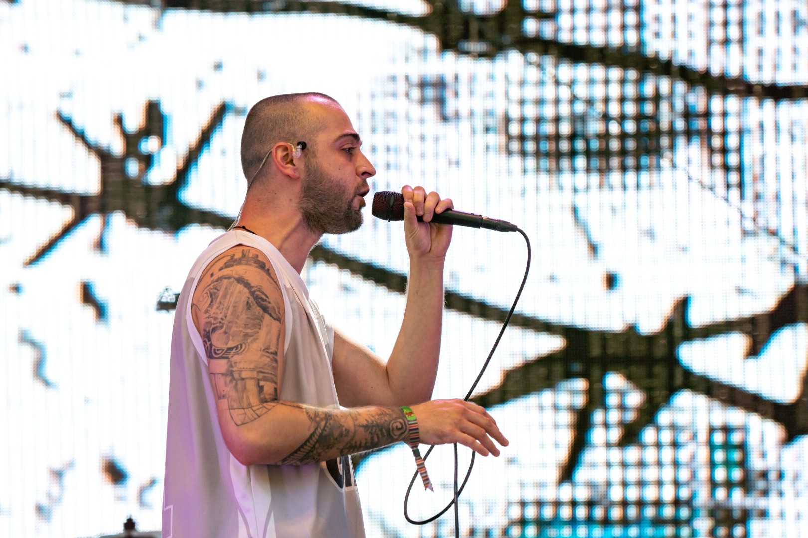 Faust & Nechifor in Timisoara on May 20, 2022 (41e71b6377)