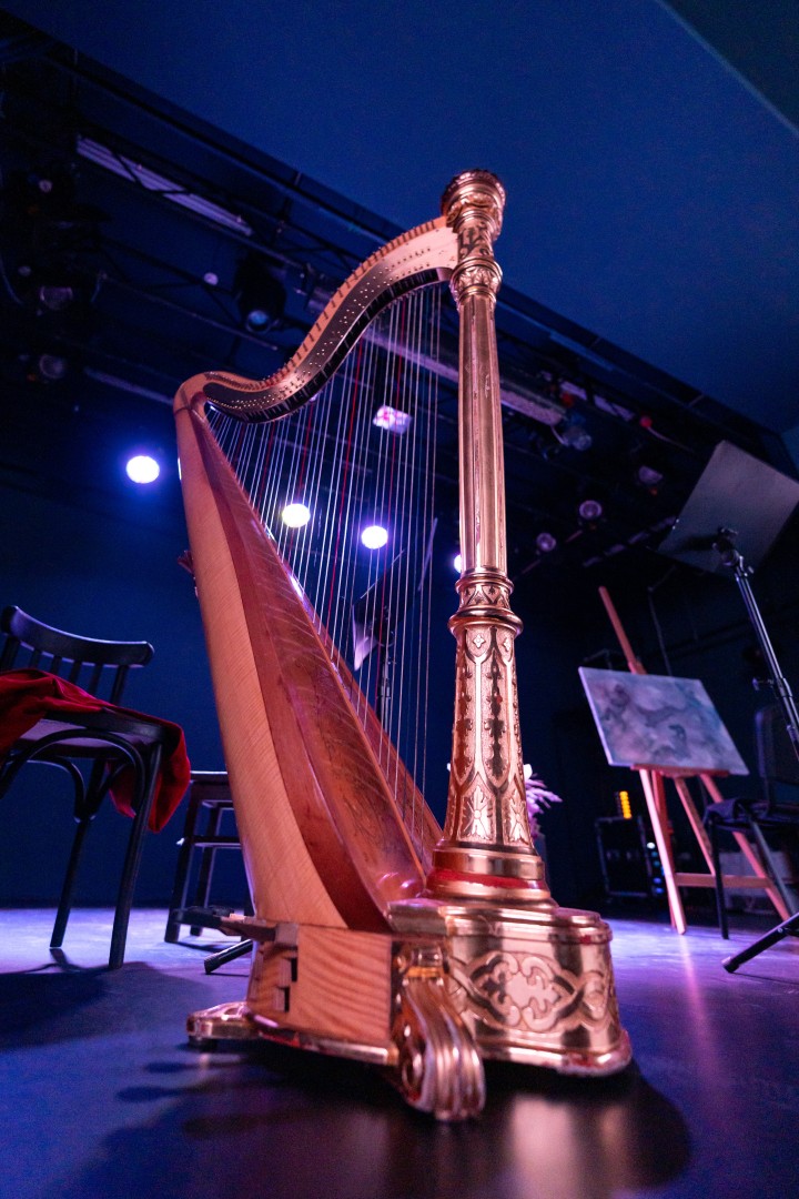 Harp at Teatrelli in Bucharest on September 10, 2022 (b0c253f09a)