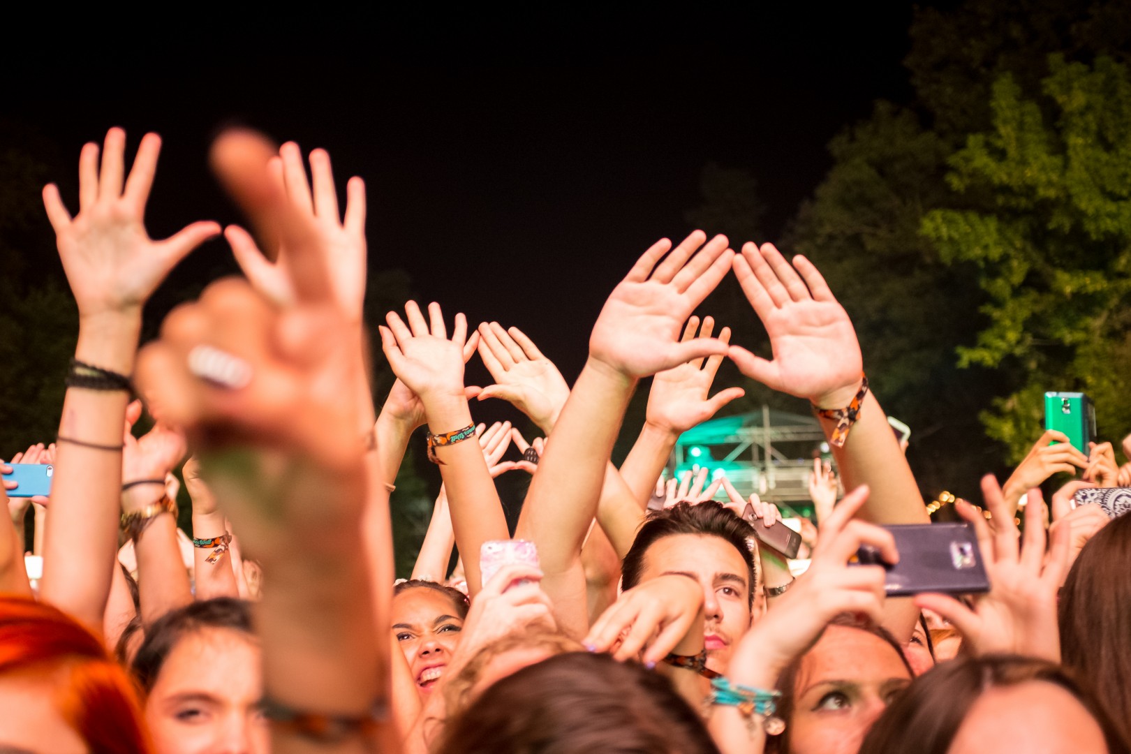 Public at Domeniul Stirbey in Buftea on August 9, 2014 (ca5afeea24)