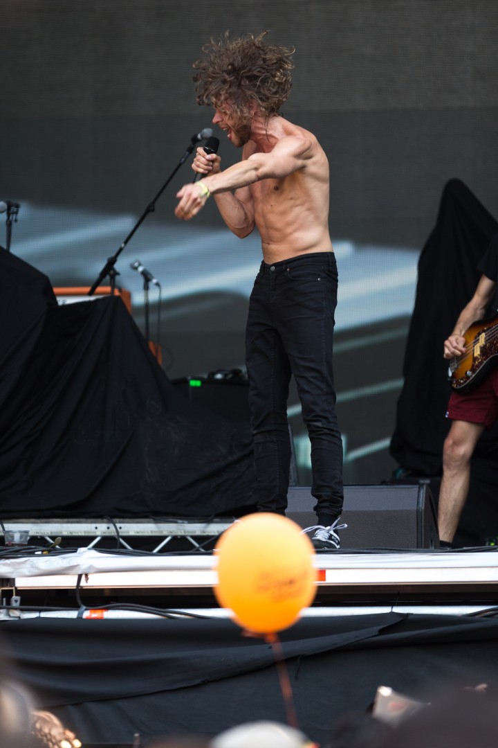 Reptile Youth at Domeniul Stirbey in Buftea on August 9, 2014 (2c0eabfbc6)
