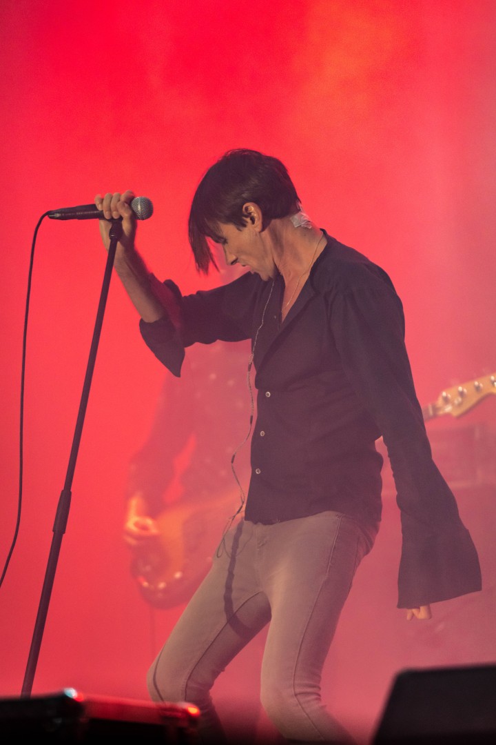 Suede at Mogoșoaia Palace in Mogosoaia on September 2, 2022 (1f83945041)