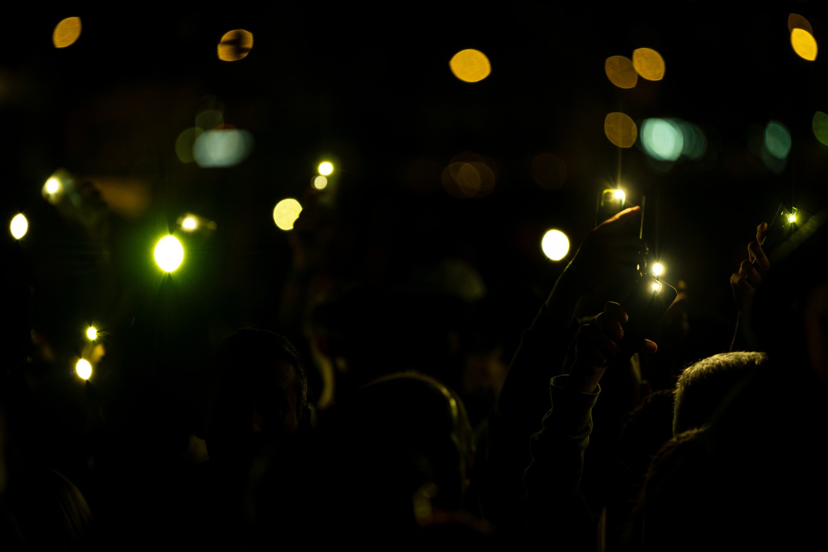 Smiley in Brasov on September 20, 2024 (beb090276c)