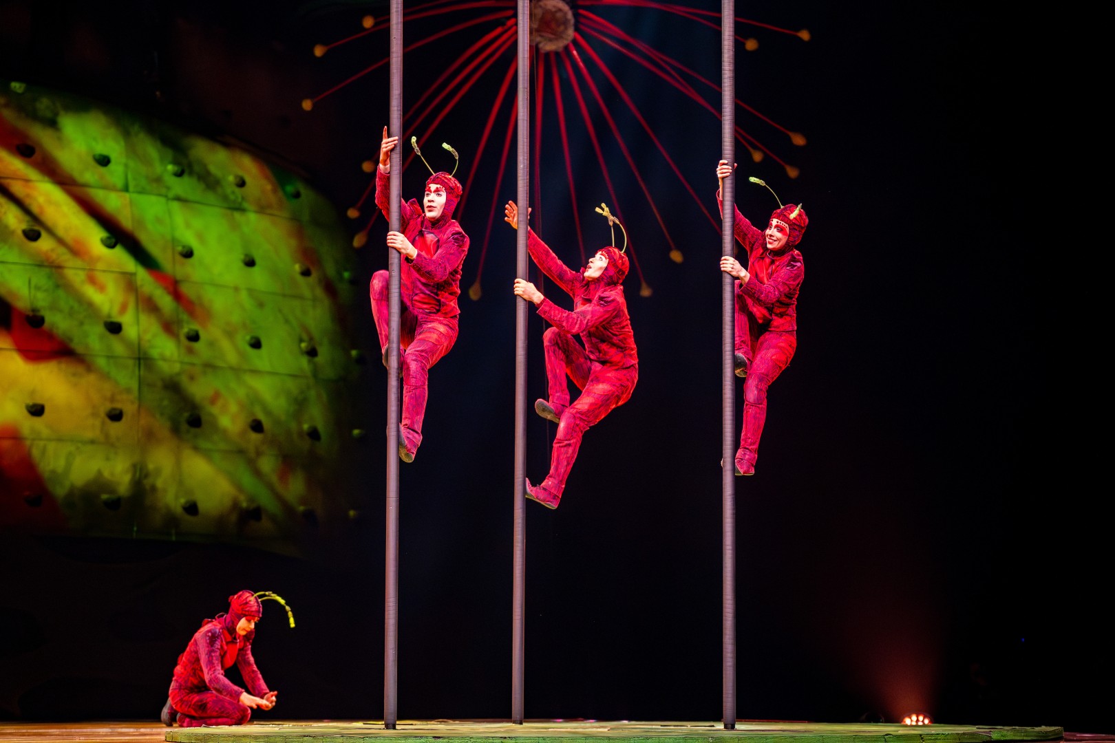 Cirque Du Soleil in Bucharest on February 15, 2024 (1d4864dc75)