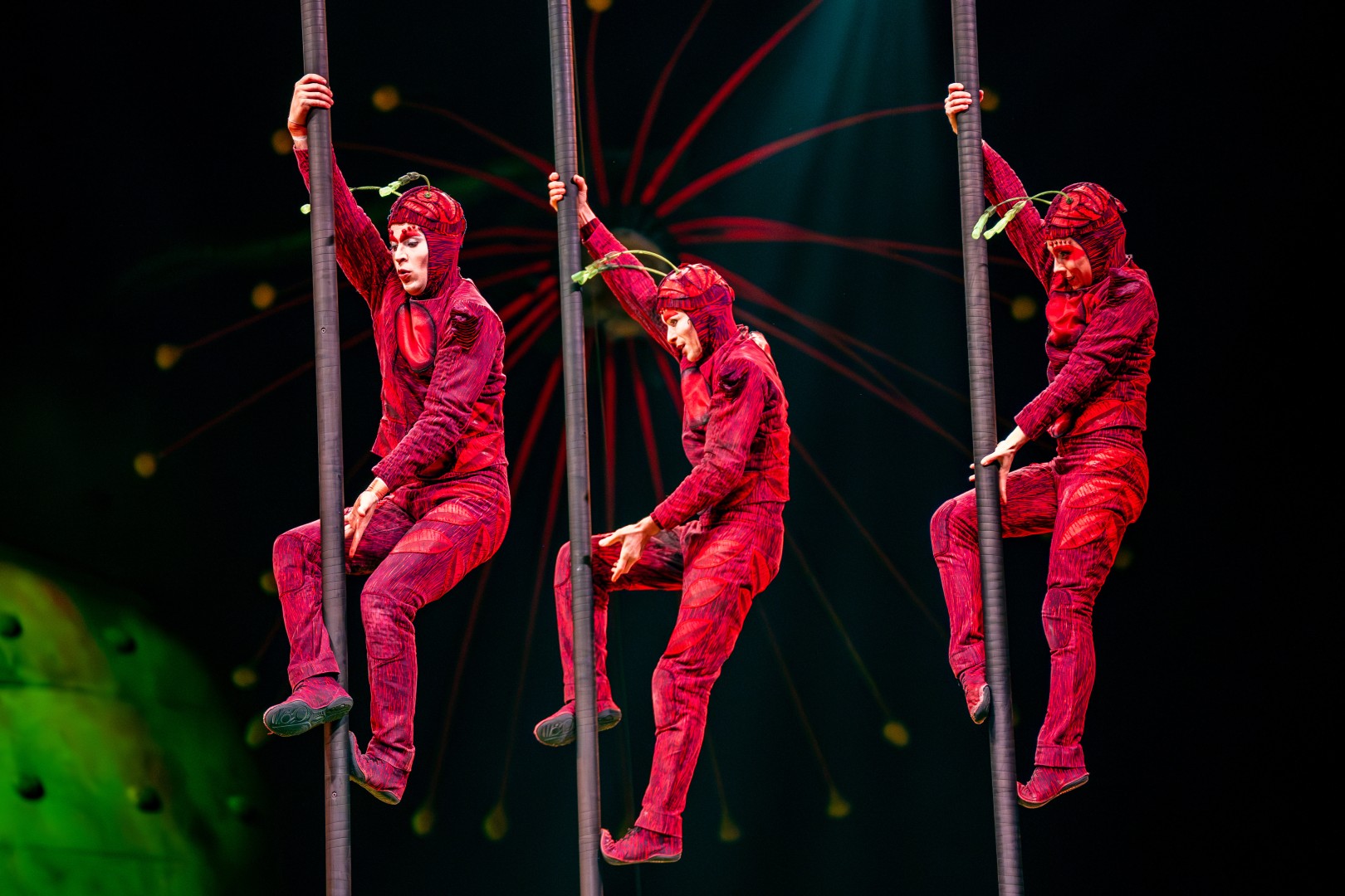 Cirque Du Soleil in Bucharest on February 15, 2024 (4382da8cf0)