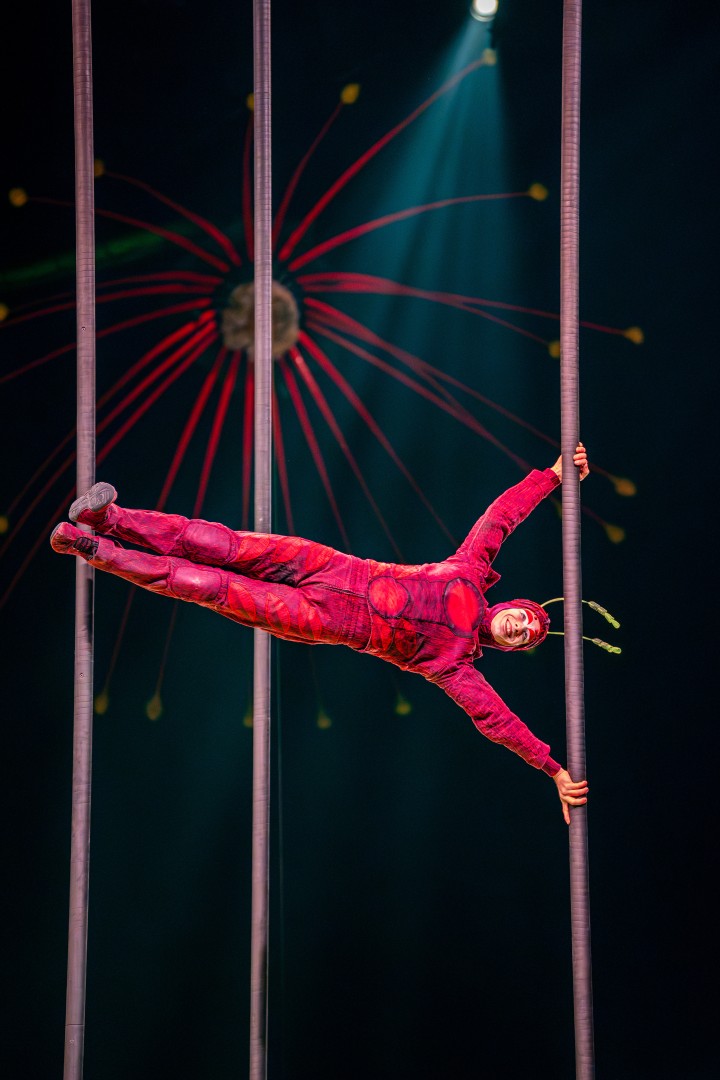 Cirque Du Soleil in Bucharest on February 15, 2024 (4b67244084)