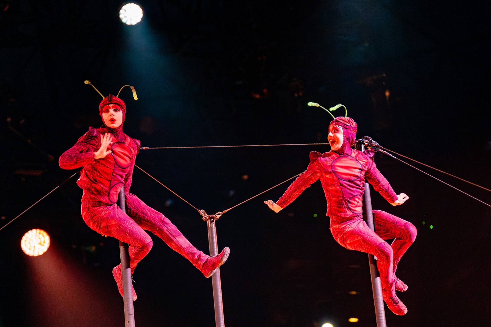 Cirque Du Soleil in Bucharest on February 15, 2024 (993a759866)