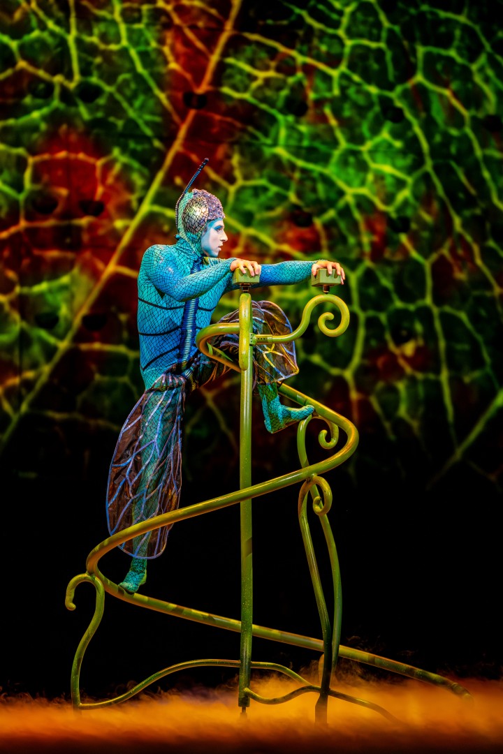 Cirque Du Soleil in Bucharest on February 15, 2024 (bc2dff84b1)