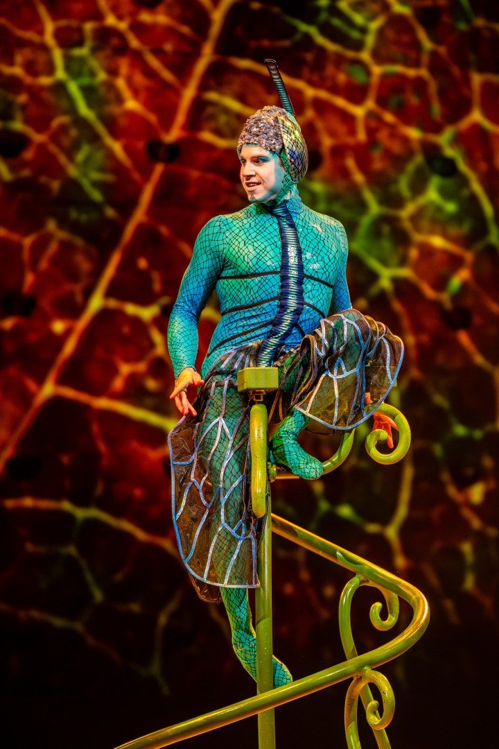Cirque Du Soleil in Bucharest on February 15, 2024 (fff5f7b49d)