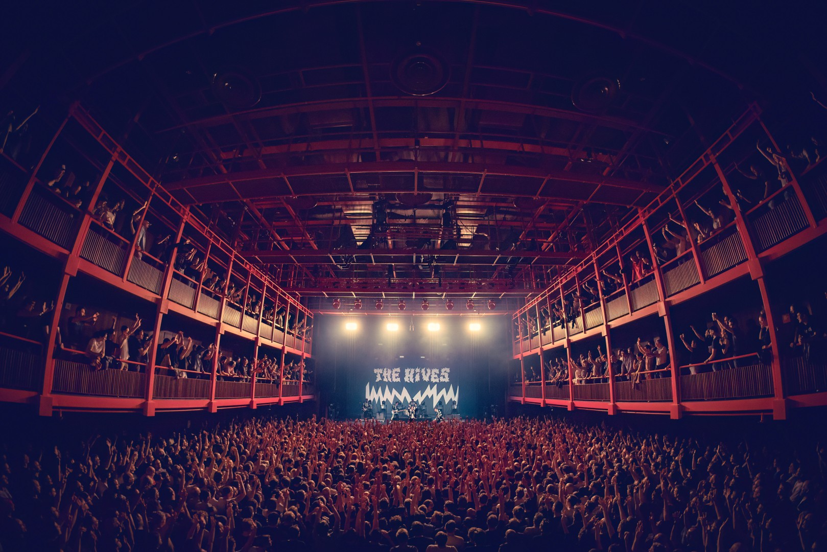 The Hives in Brussels on September 26, 2023 (4b17a7ad48)