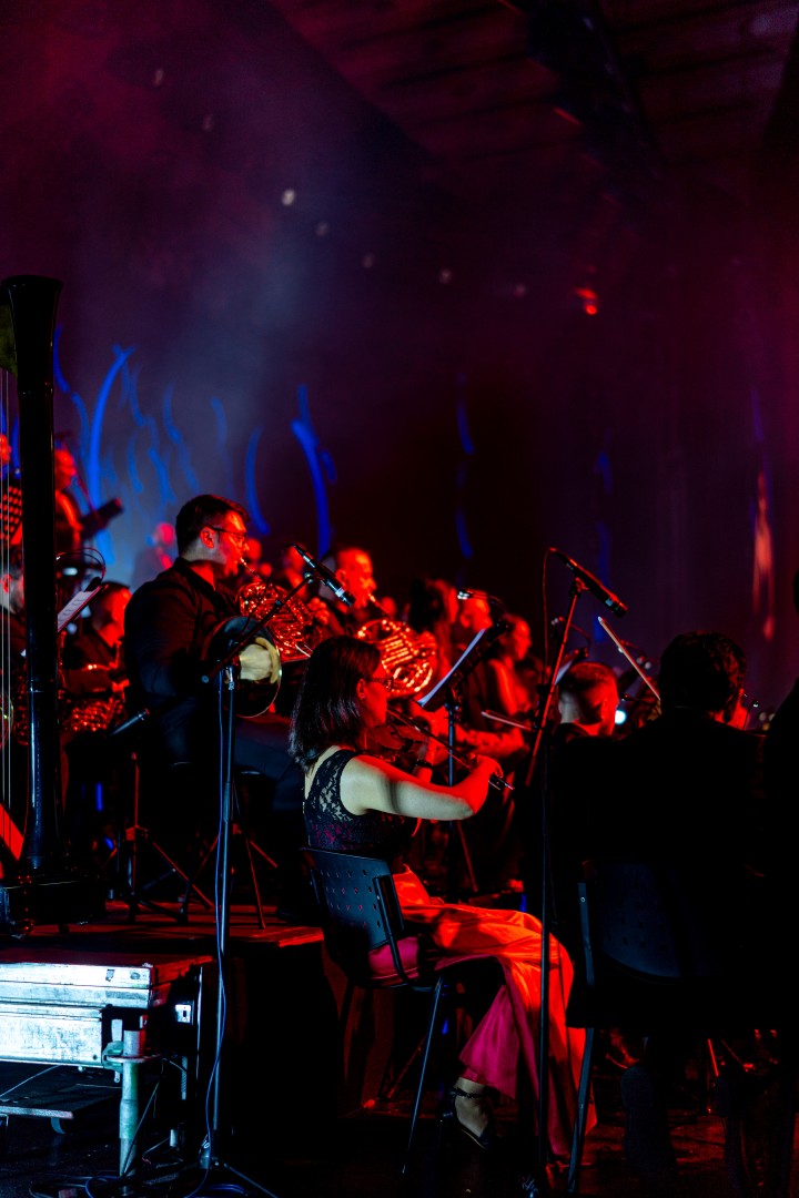 Bucharest Symphony Orchestra in Bucharest on November 11, 2025 (a4c440b4e1)