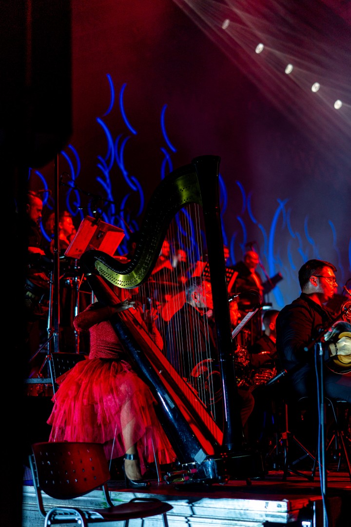 Bucharest Symphony Orchestra in Bucharest on November 11, 2025 (e674e74ccb)