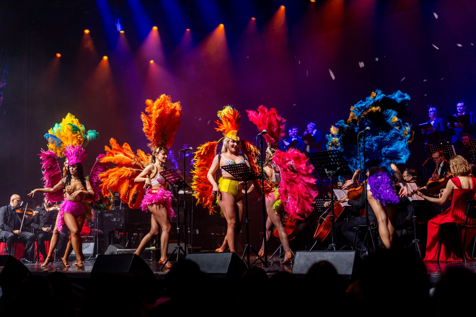 Dancers in Bucharest on November 11, 2025 (e8d1f9bea7)