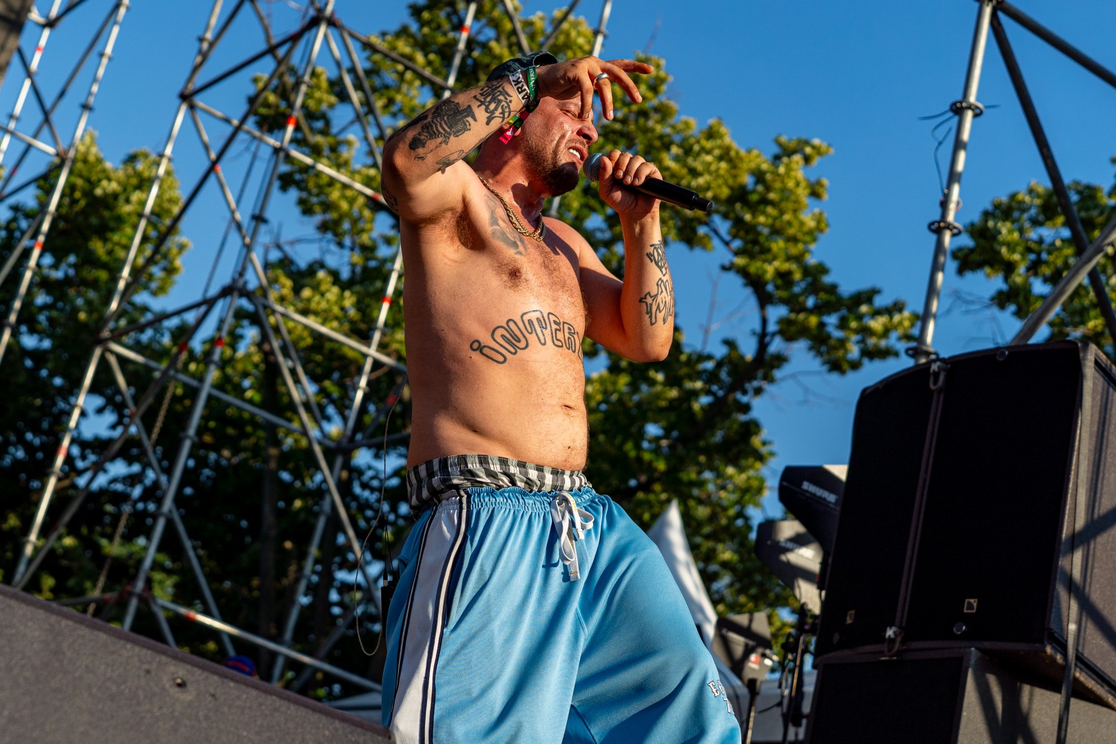 Macanache in Bucharest on July 4, 2025 (9af1418480)