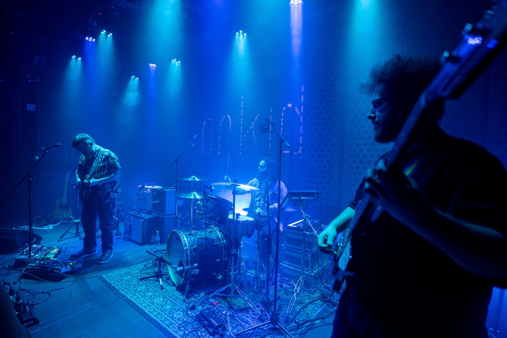 Orkid in Bucharest on November 13, 2025 (97bbc1f5ea)