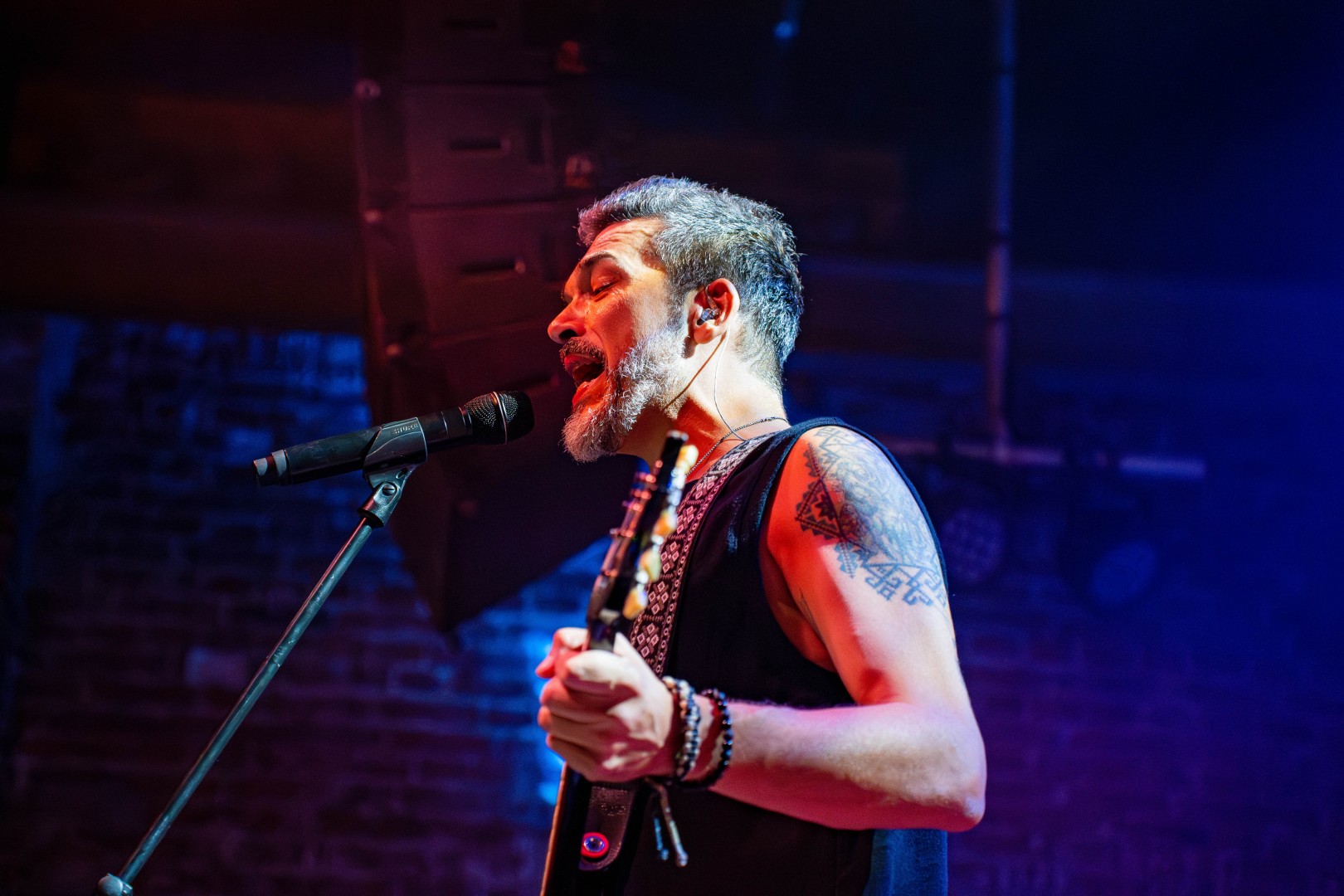 Vița De Vie in Bucharest on August 13, 2025 (34e418d5e4)